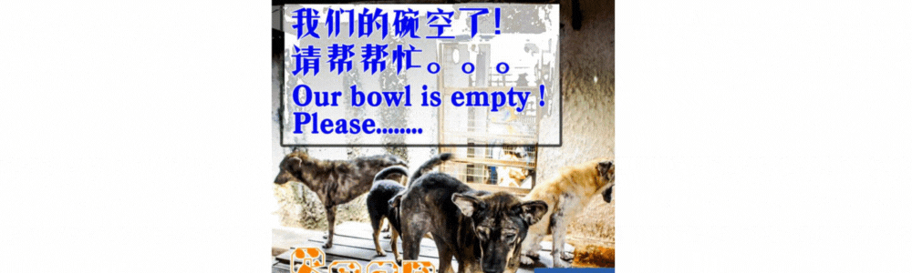 Something Doggy Supports SPCA