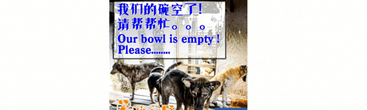 Something Doggy Supports SPCA