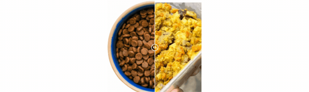 The Crucial Reasons to Change Your Doggy's Bowl Content Regularly.