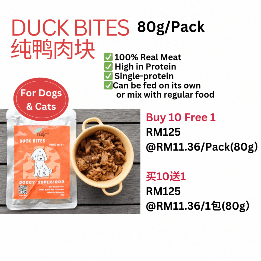 Duck Bites (80g)