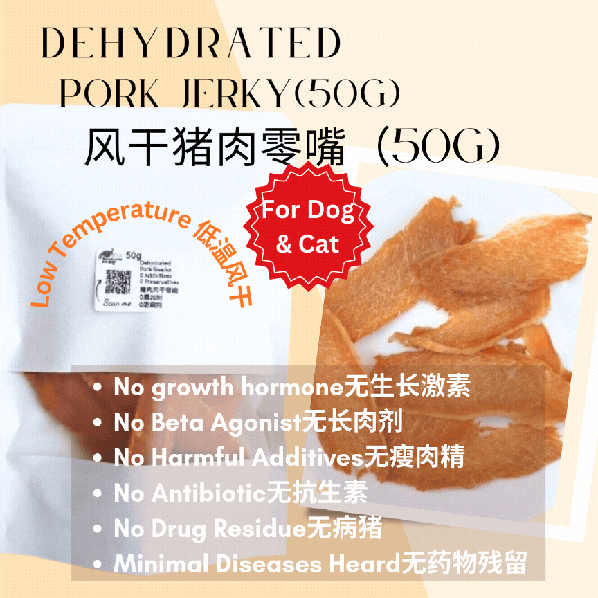 Dehydrated Pork Jerky 50g/ Pack 风干猪肉零食