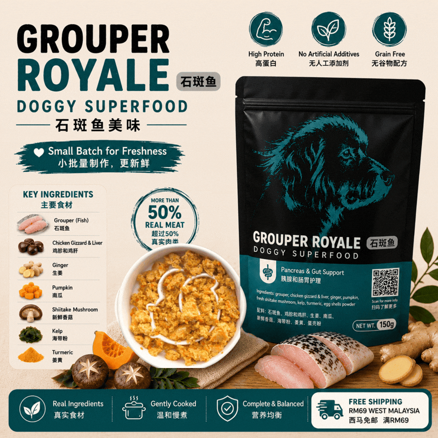 Grouper-ancreas & Gut Support Diet 石斑鱼-胰腺与肠胃护理