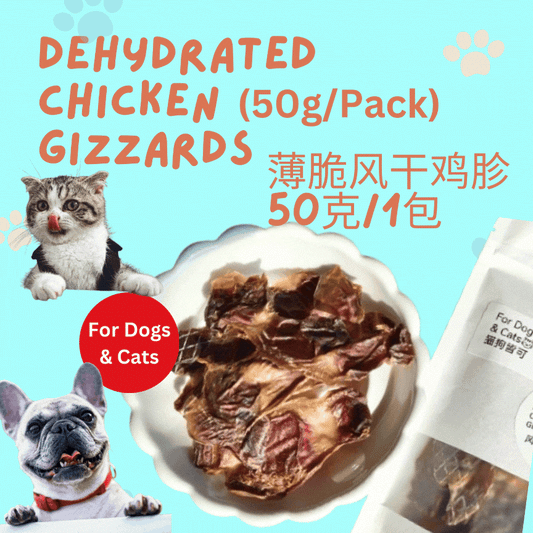Dehydrated Chicken Gizzard 薄脆风干鸡胗(50克/1包)
