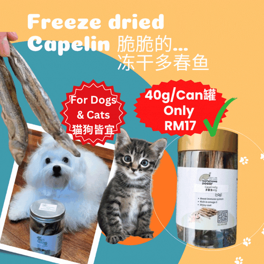 For Dog&Cat(40g)- Freeze Dried Capelin,猫狗皆可-冻干多春鱼(40克)