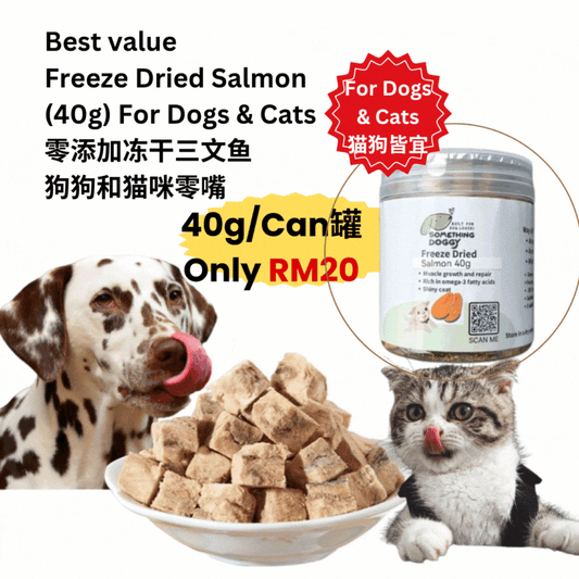 40g-For Dog&Cat- Dried Salmon冻干三文鱼(40克)