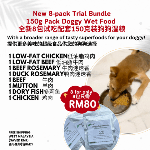 The Amazing Doggy SuperFood