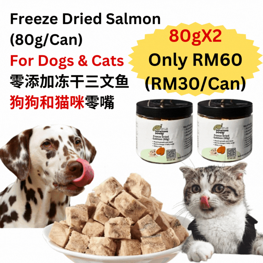 The Amazing Doggy SuperFood