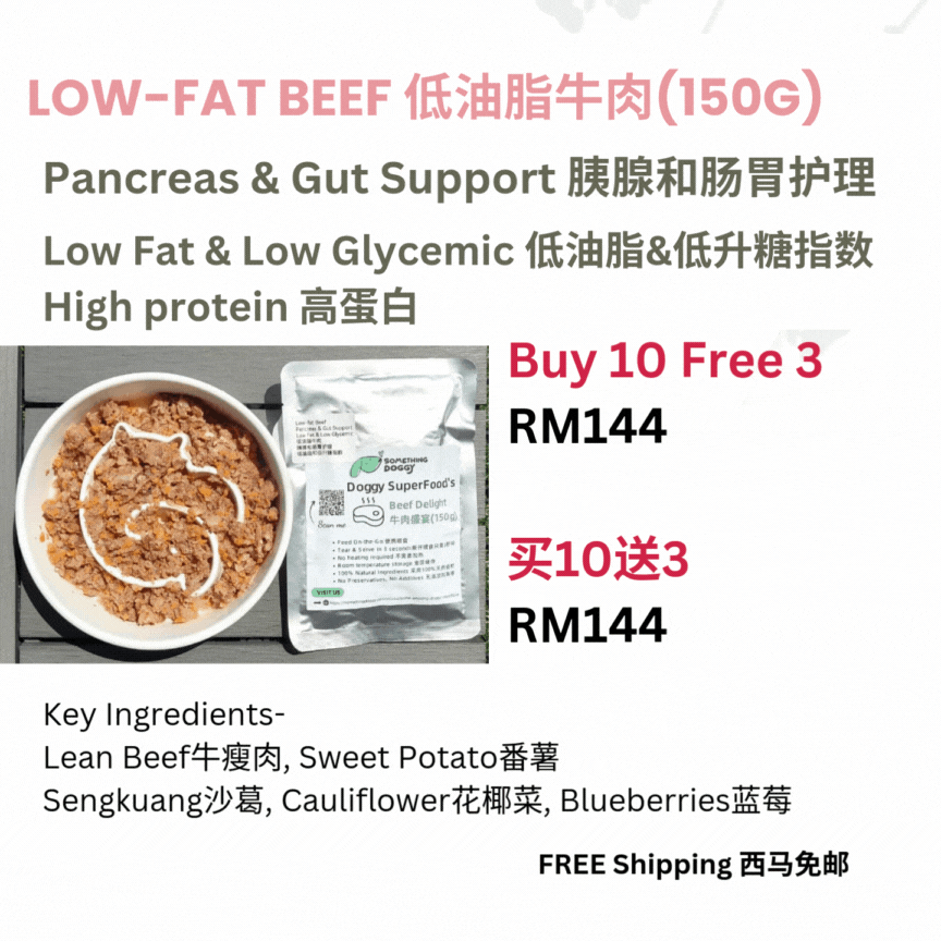 The Amazing Doggy SuperFood