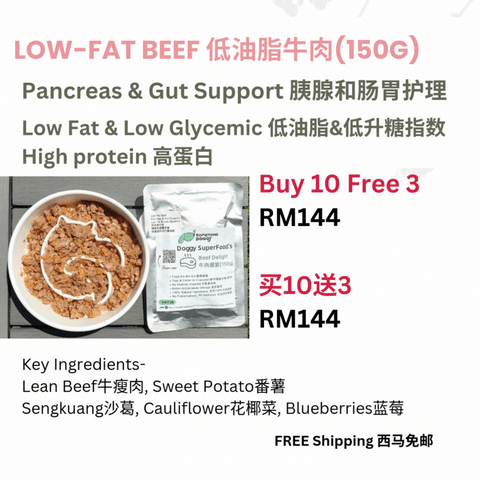 The Amazing Doggy SuperFood