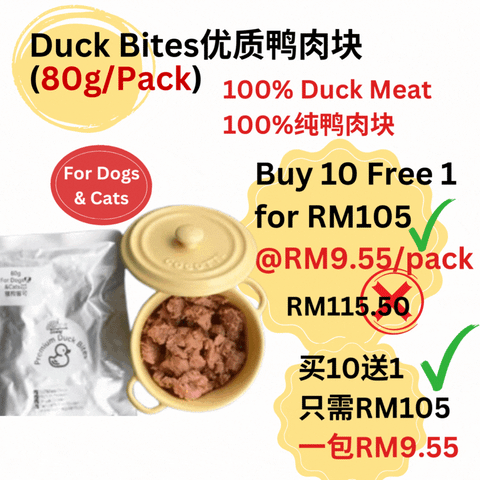 The Amazing Doggy SuperFood