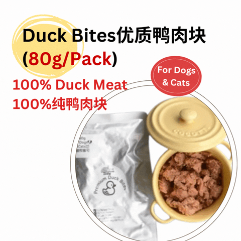 The Amazing Doggy SuperFood