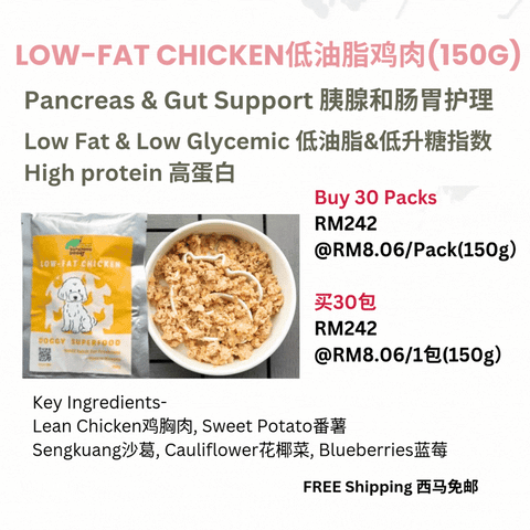 The Amazing Doggy SuperFood