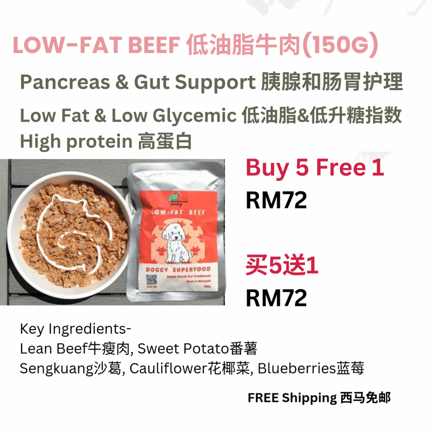 The Amazing Doggy SuperFood