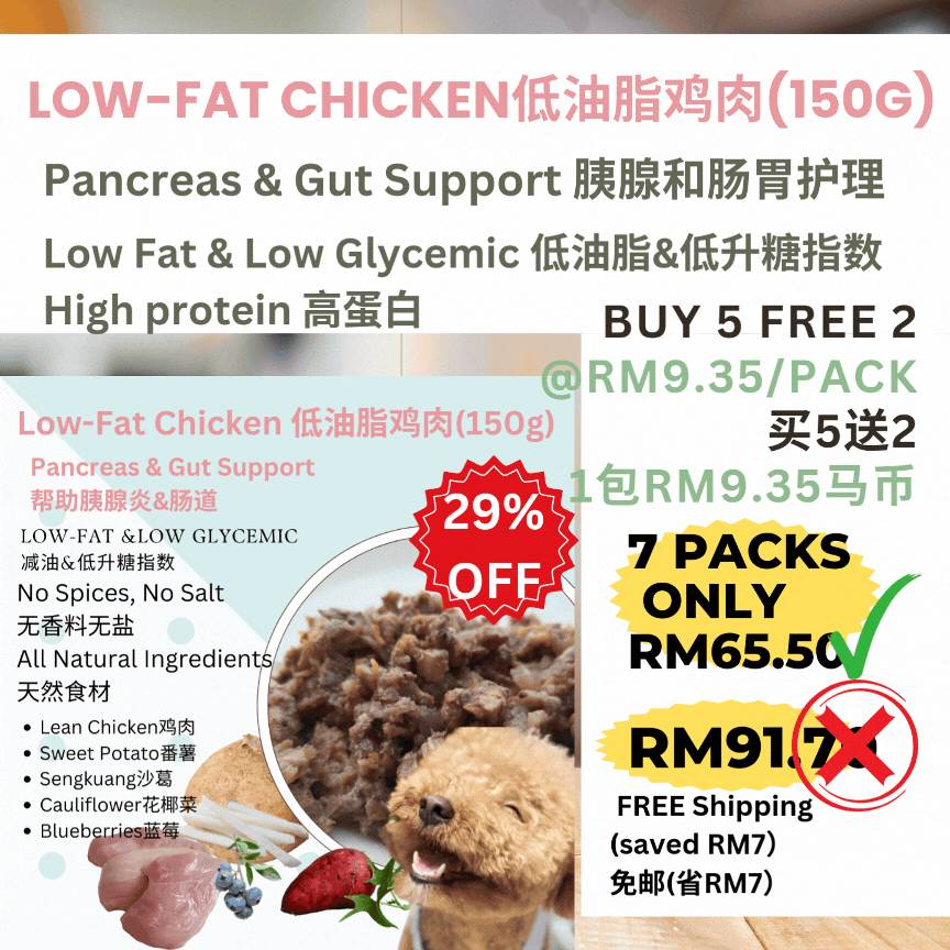 Pancreas & Gut Support-Low-Fat & Low Glycemic