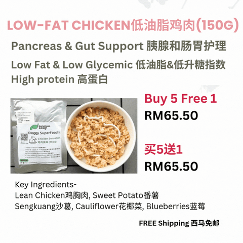 The Amazing Doggy SuperFood