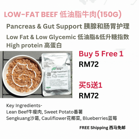 The Amazing Doggy SuperFood
