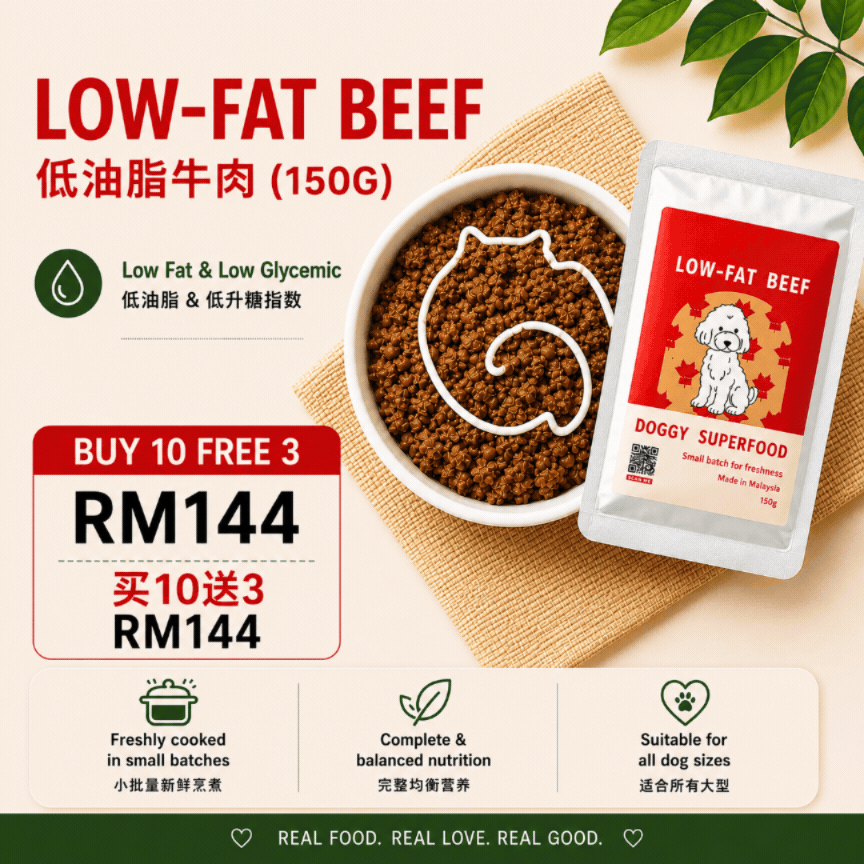 The Amazing Doggy SuperFood
