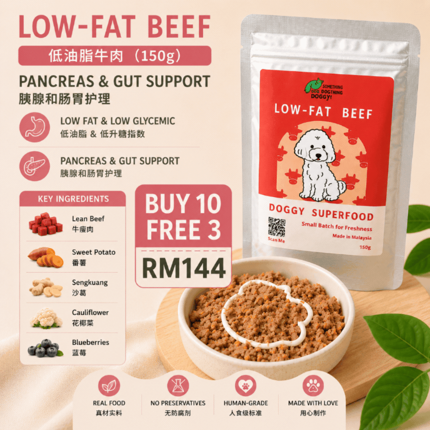 The Amazing Doggy SuperFood