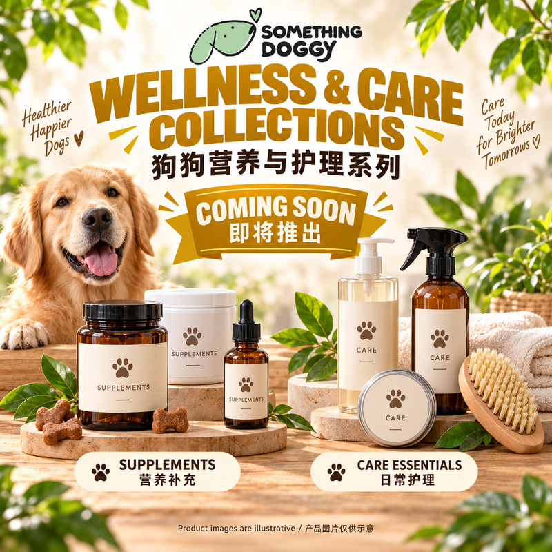 Wellness Care