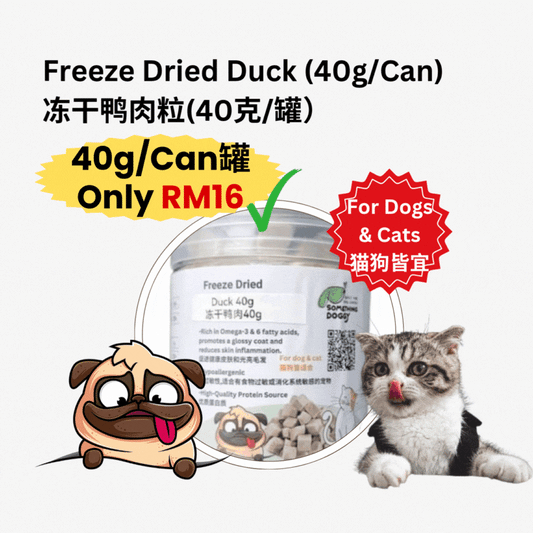 (40g)Freeze Dried Duck冻干鸭肉(40克)