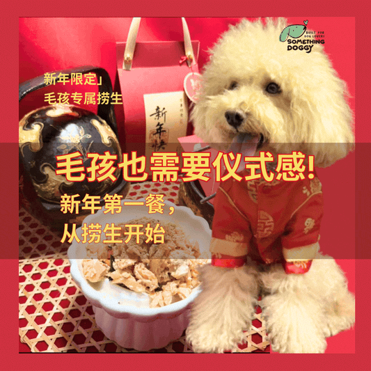 The Amazing Doggy SuperFood