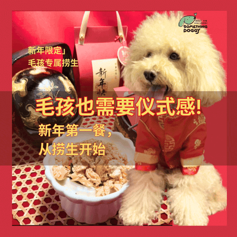 The Amazing Doggy SuperFood