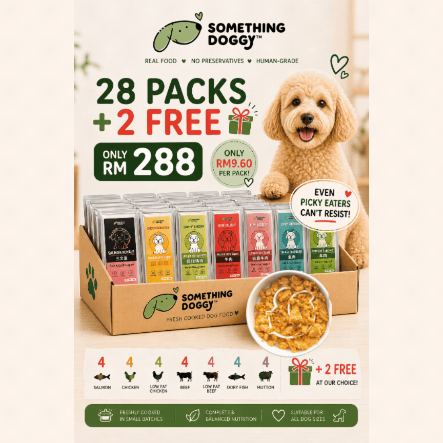 The Amazing Doggy SuperFood