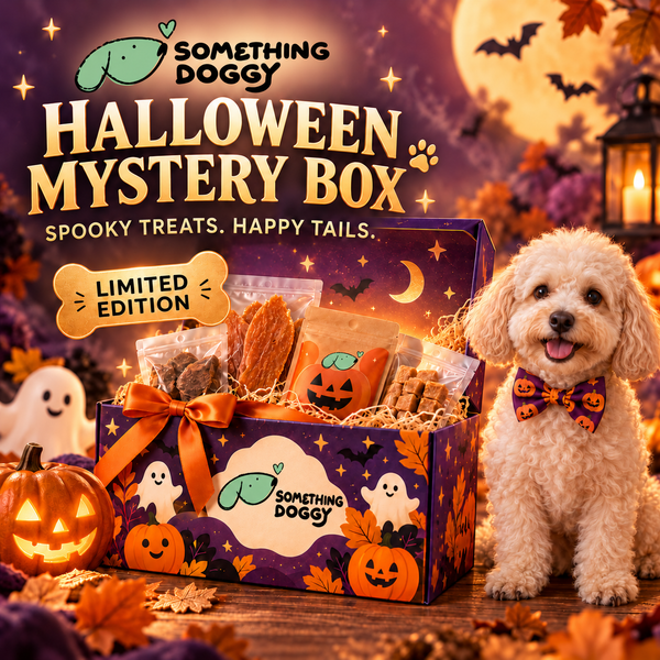 Halloween Mystery Box （Limited Only）