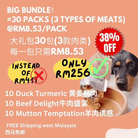 The Amazing Doggy SuperFood