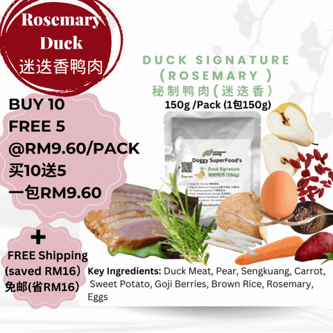 The Amazing Doggy SuperFood