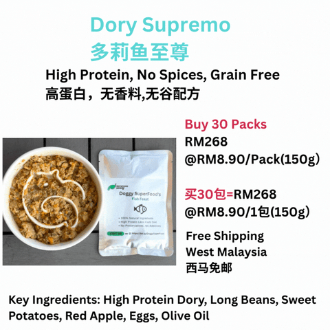 The Amazing Doggy SuperFood