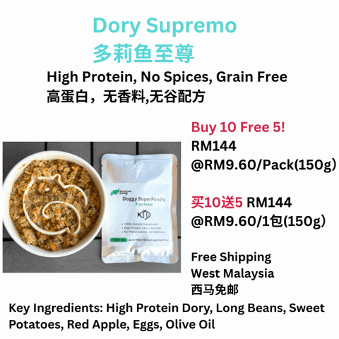 The Amazing Doggy SuperFood
