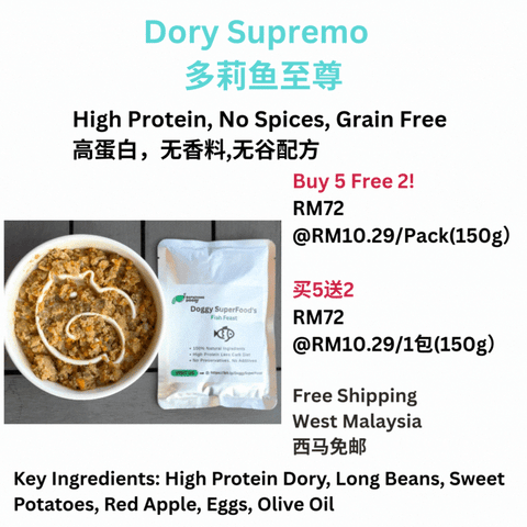The Amazing Doggy SuperFood