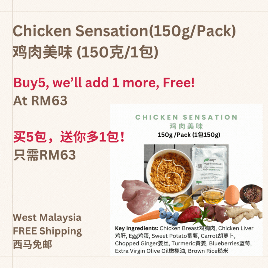 The Amazing Doggy SuperFood