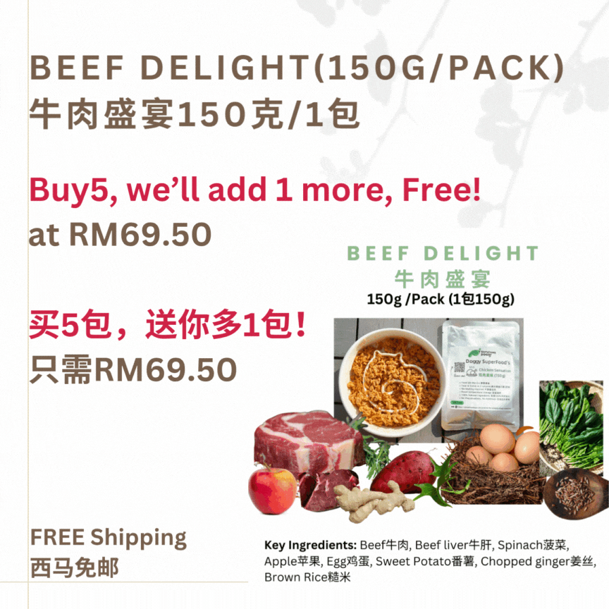 The Amazing Doggy SuperFood