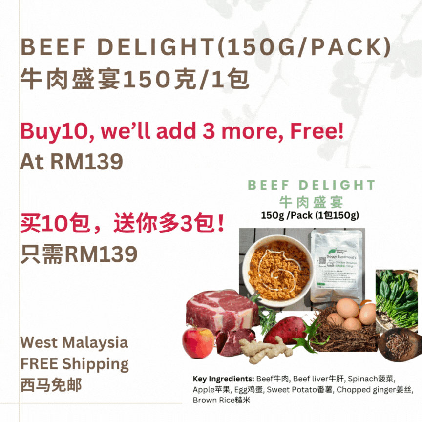 The Amazing Doggy SuperFood
