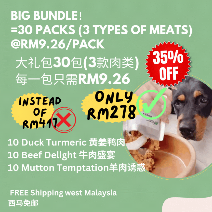The Amazing Doggy SuperFood