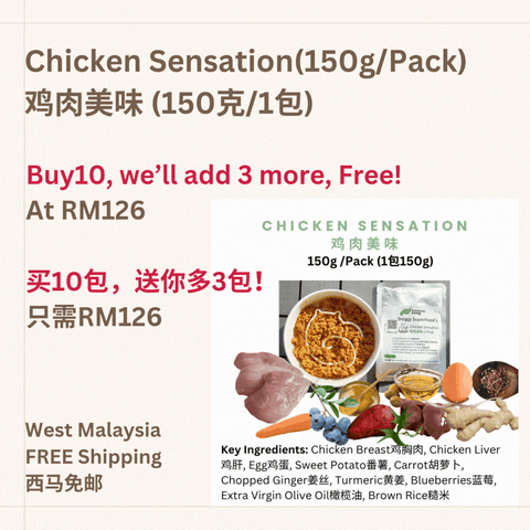The Amazing Doggy SuperFood