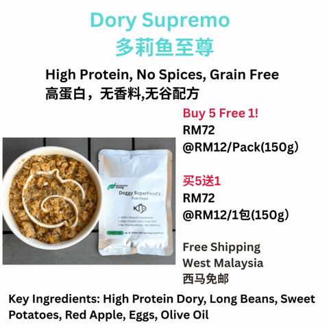 The Amazing Doggy SuperFood