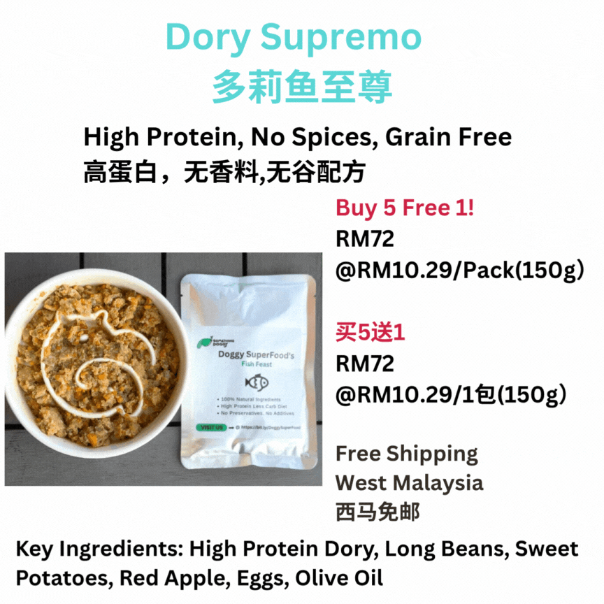 The Amazing Doggy SuperFood