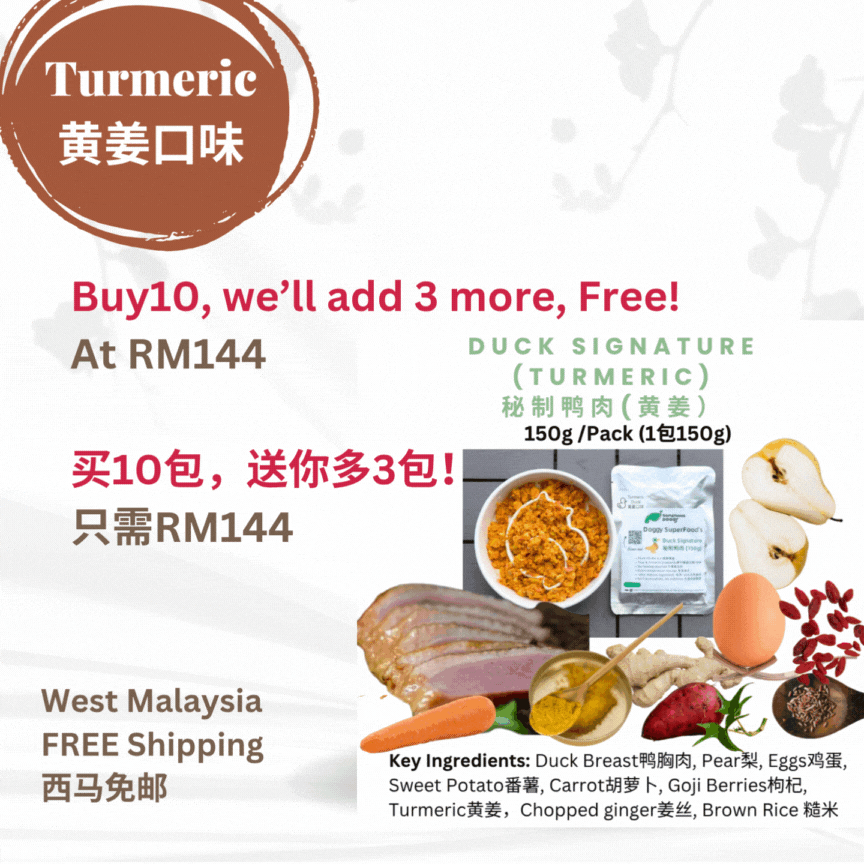 The Amazing Doggy SuperFood