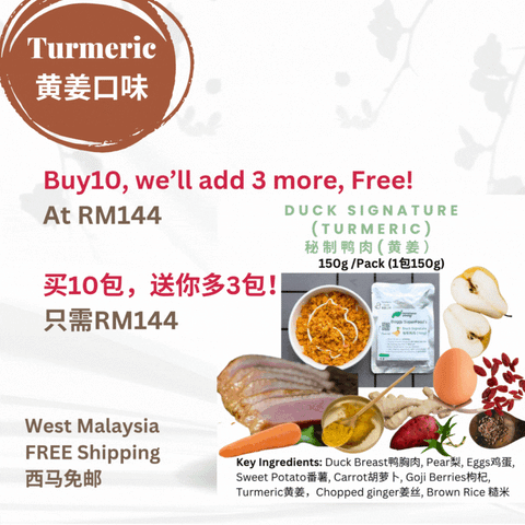 The Amazing Doggy SuperFood