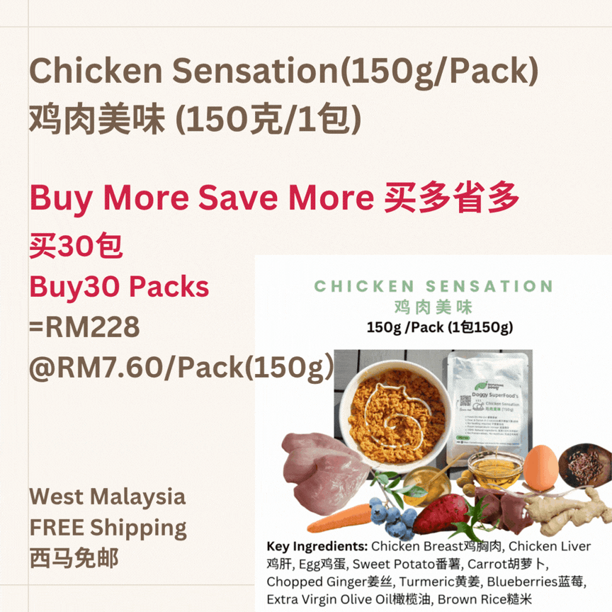 The Amazing Doggy SuperFood
