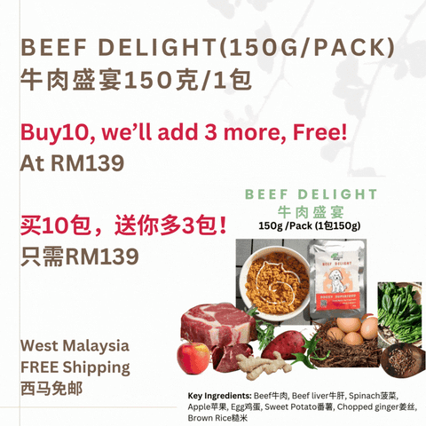 The Amazing Doggy SuperFood