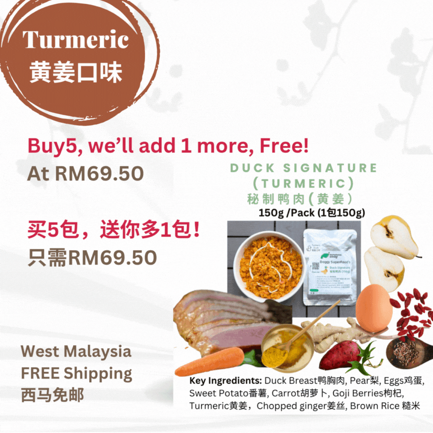 The Amazing Doggy SuperFood