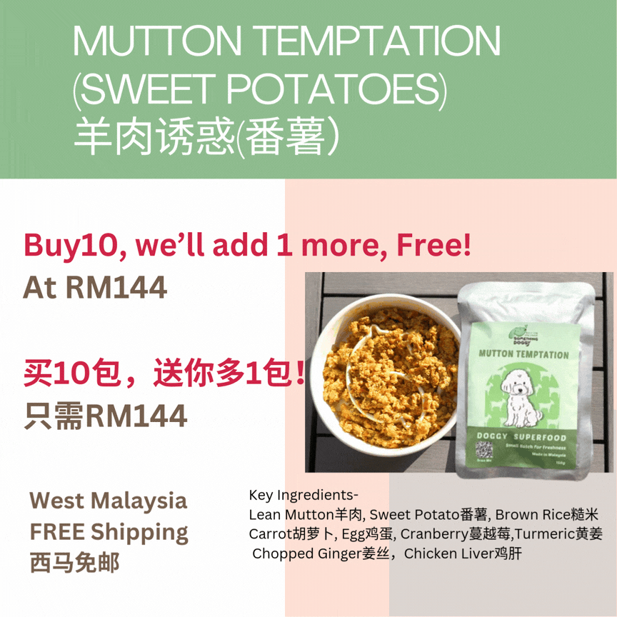 The Amazing Doggy SuperFood