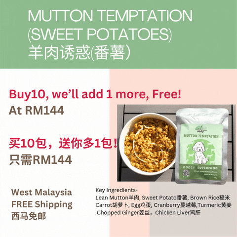 The Amazing Doggy SuperFood