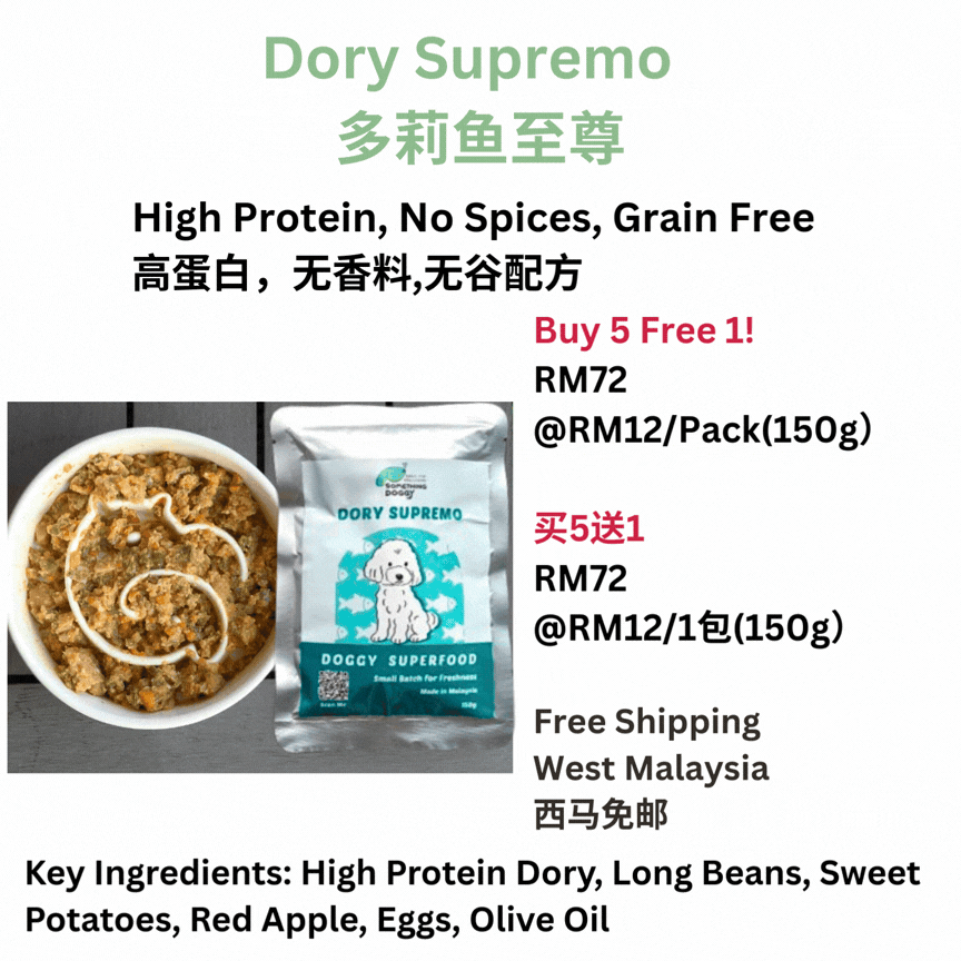 The Amazing Doggy SuperFood