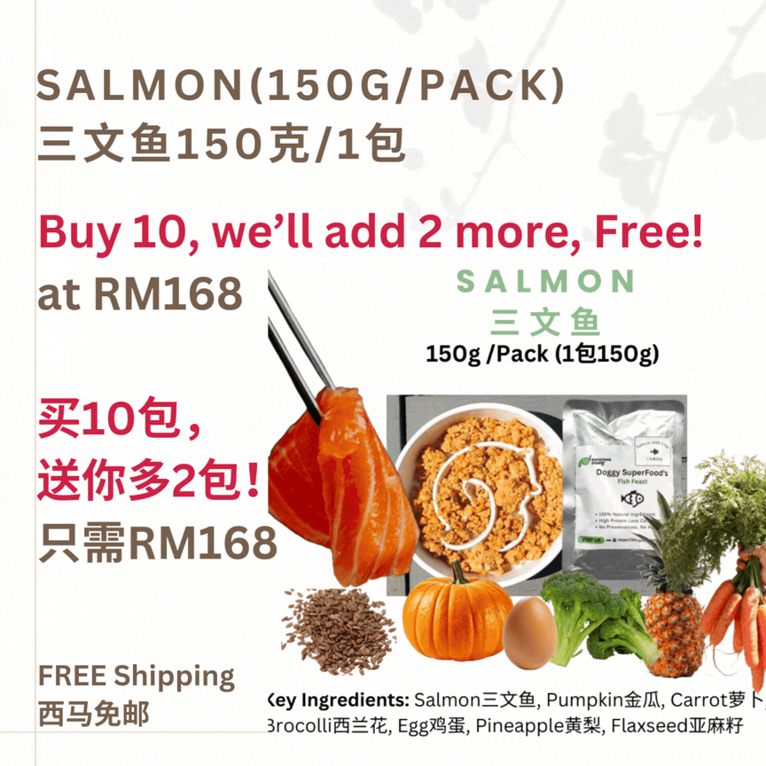 The Amazing Doggy SuperFood