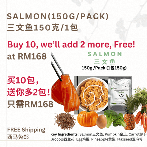 The Amazing Doggy SuperFood